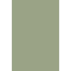 Peinture Lichen n°19 Farrow&Ball
