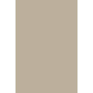 Peinture Light Gray n°17 Farrow&Ball