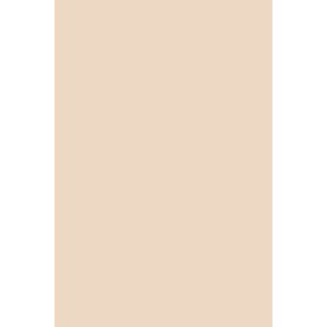 Peinture Setting Plaster® n°231 Farrow&Ball