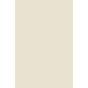 Peinture Skimming Stone® n°241 Farrow&Ball