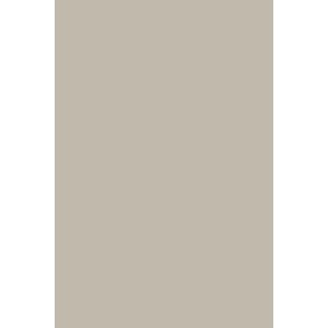 Peinture Pavilion Gray n°242 Farrow&Ball