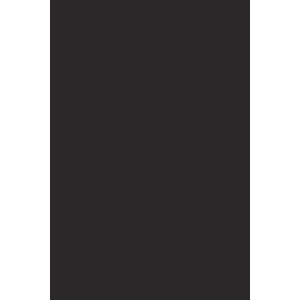 Peinture Pitch Black n°256 Farrow&Ball
