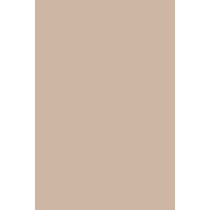 Peinture Smoked Trout® n°60 Farrow&Ball