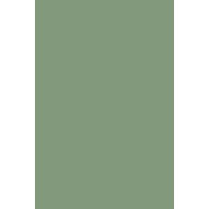 Couleur Archive Pea Green n°33 - Farrow&Ball