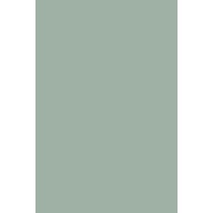 Couleur Archive Pond Green n°G7 - Farrow&Ball