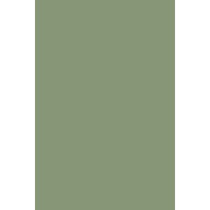 Couleur Archive Sutcliffe Green n°78 - Farrow&Ball