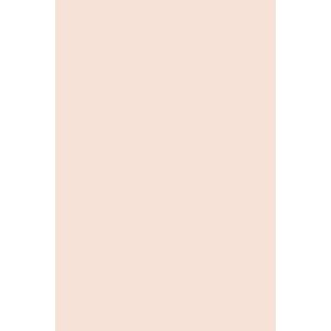 Peinture Pink Ground® n°202 Farrow&Ball