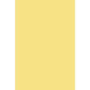 Peinture Dayroom Yellow® n°233 Farrow&Ball 