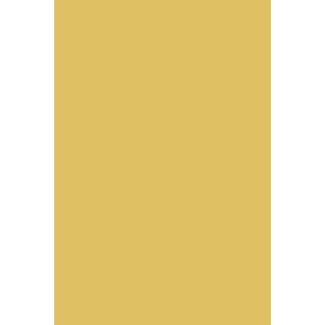 Peinture Ciara Yellow® n°73 Farrow&Ball