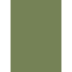 Couleur Sap Green n°199 - Farrow&Ball