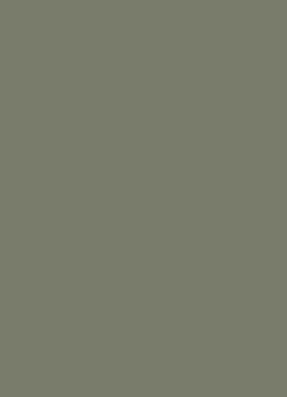 Treron nouveau gris vert subtil Farrow&Ball Dame DECO