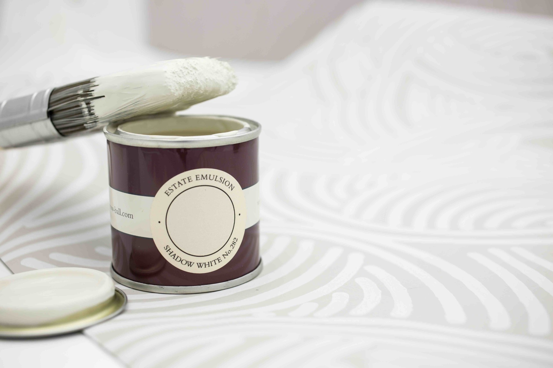 Échantillon de peinture Farrow & Ball Shadow White